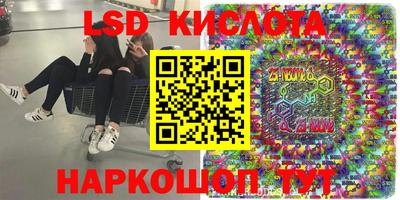 молекула духа Кулебаки