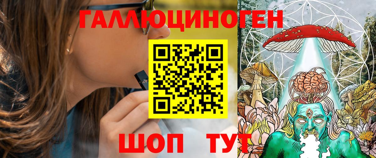 Псилоцибиновые грибы Psilocybe  Вход с VPN  Знаменск 