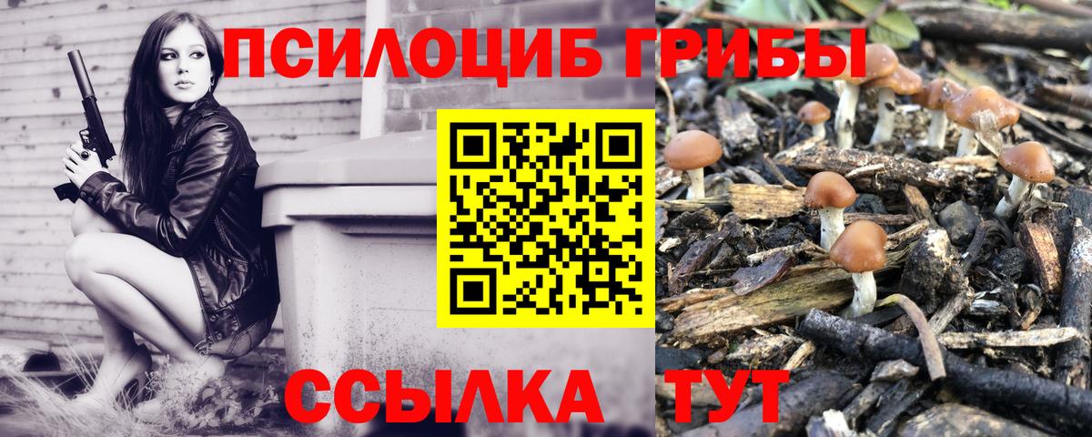 Псилоцибиновые грибы Magic Shrooms Знаменск